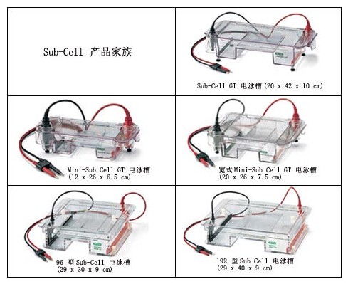 (l )Sub-Cellϵy